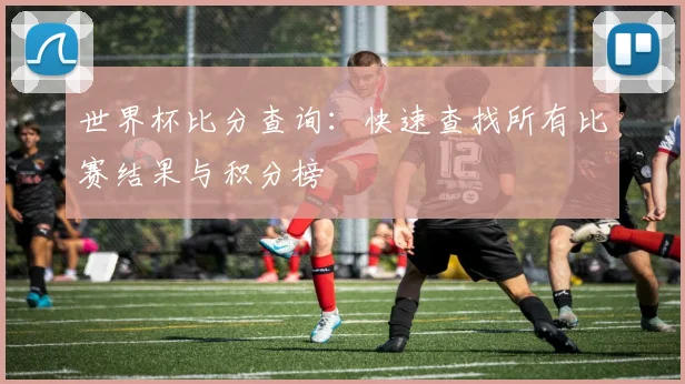 世界杯比分查询:快速查找所有比赛结果与积分榜