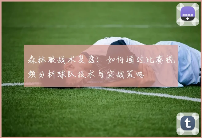森林狼战术复盘:如何通过比赛视频分析球队技术与实战策略